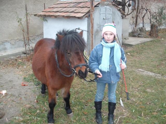 képek - Az én kicsi lovam: Panna!! :)