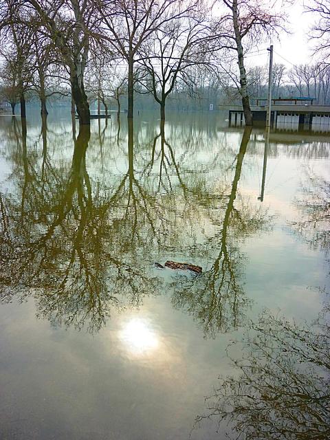 Tavasz 2013 - Víz alatt a Mártélyi üdülő terület.