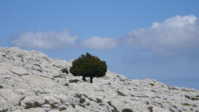 Mallorca 2013 május