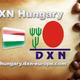 DXN üzleti lehetőség