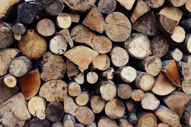 Hungary summer 2014 - firewood texture