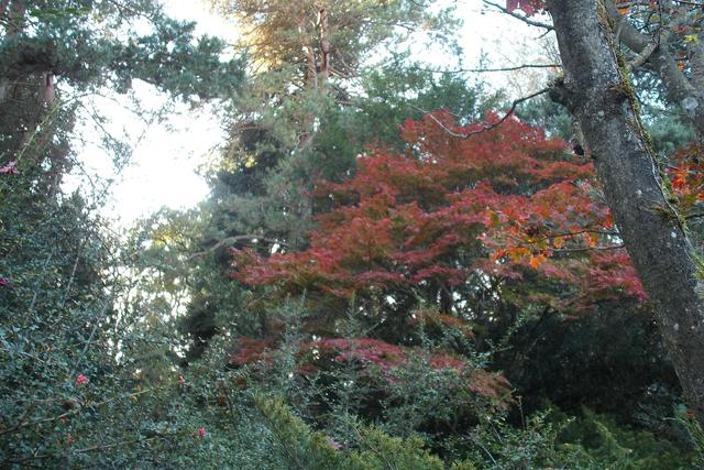 Az ősz színei 2014-ben
