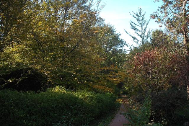 Az ősz színei 2014-ben