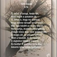Tóth Árpád: A fa