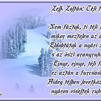 Zelk Zoltán: Téli fák