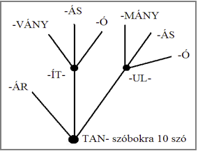 TAN - szóbokor