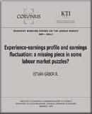 Experience-earnings profile and earnings fluctuation: a missing piece in some labour market puzzles?