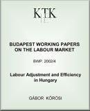 Labour adjustment and efficiency in Hungary