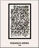 Pozsonyi kódex, 1520
