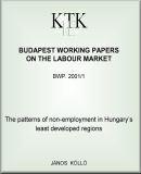 The patterns of non-employment in Hungary&apos;s least developed regions