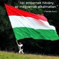 "Aki embernek hitvány, az magyarnak alkalmatlan." (Tamási Áron)