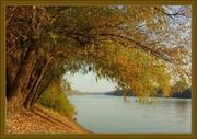 Ady Endre A Tisza Parton