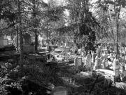 Áprily Lajos - Tavasz a házsongárdi temetőben