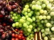 A Tokaji szőlőfajták