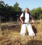GONDOLATOK ARATÁS IDEJÉN
