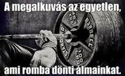 AZ ALKOTÓK FELELŐSSÉGE… Már megint aggódom