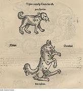 A kutya a magyar mitológiában