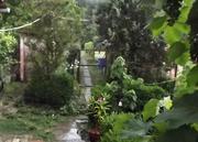 GYULÁT IS ELÉRTE A ZIVATAR 2015. 06. 15 – ÉN