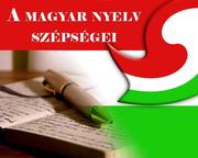 SZÉP MAGYAR NYELVÜNKÖN ÍROK… Gondolataim a Magyar Nyelv Napján