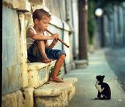 SZÉPEN SZÓLÓ FURULYA…  Avagy a kis - fiú zenél a cicának.