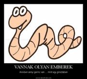 HA VALAKINEK GERINCE VAGYON…
