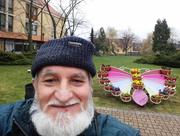SZEMGYÖNYÖRKÖDTETŐ VIRÁGPILLANGÓ…