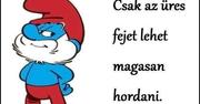 ÉSZT OSZTANI… Örök dilemma.