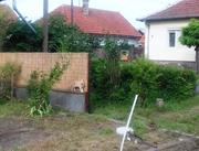 FRICI MACSEK SZEMLÉLI A TEREPET…