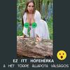 HÓFEHÉRKE MIT  TETTÉL A TÖRPÉKKEL…