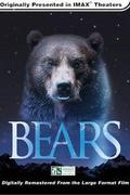 Medvék (Bears)