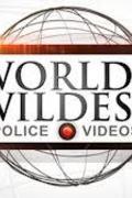 Üldözés életre-halálra - A legdurvább rendőrsztorik (World's Wildest Police Videos)