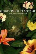 A növények birodalma (Kingdom of Plants 3D)