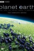 Bolygónk, a Föld ( David Attenborough -Planet Earth)