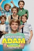 Adam és Adam (Splitting Adam.2015)