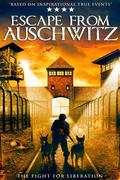 Menekülés Auschwitzból (Escape from Auschwitz) 2020.