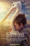 Viharfiú (Storm Boy) 2019.