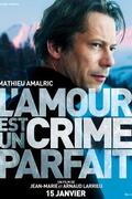 Tökéletes szerelmi bűntény (L'amour est un crime parfait) 2013.