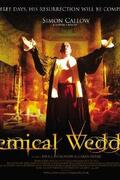 Az alkimista esküvő (A Chemical Wedding) 2008.