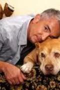Emberképzés kutyákhoz - Cesar Millan