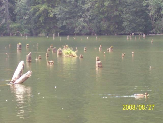 Erdély 2008 - Gyilkos-tó