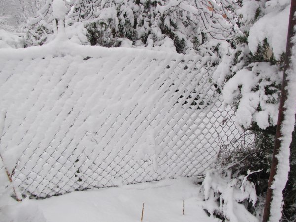 Téli képek - havas kerítés