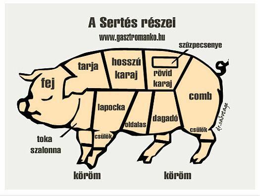 Sertés részei