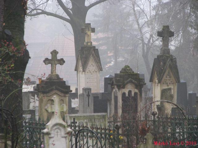 Kolozsvári Házsongárdi temető - 2010 december 2.