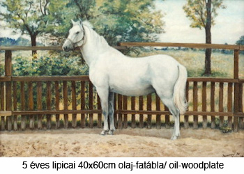 Festményeim: lovas képek - 5 éves lipicai a Kincsem parkból
