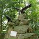 Vogel park/ Hassloch/