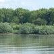 Dráva folyó