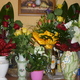 2011.Szülinapos virágaim.