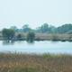 Biharugra - az Ugrai tavak látképe a toronyból