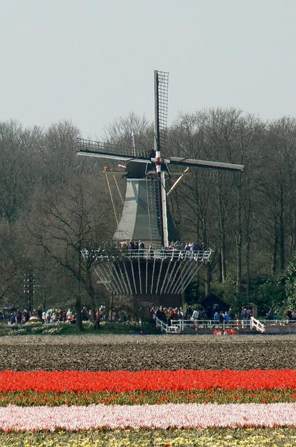 Hollandia - Keukenhof Hollandia április 9, 2015