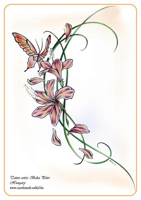 Saját rajzok - Baka Péter: Növényi ornamentika